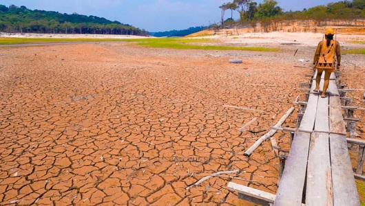 Diversos rios importantes da Amazônia estão com baixas históricas em 2024 (Foto: Paulo Desana Dabukuri/ISA)