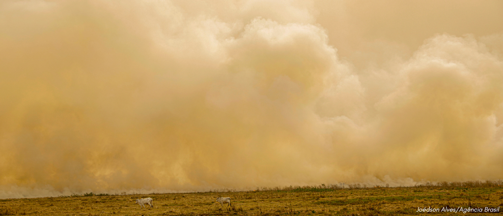 Imagem com grande quantidade de fumaça proveniente de queimadas na região do Pantanal