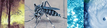 arte com imagem de mosquito, agua e ar