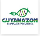 Programme Guyamazon (IRD, CIRAD, Région Guyane, Ambassade de France au Brésil, FAPEAM, FAPEAP, FAPEMA)
