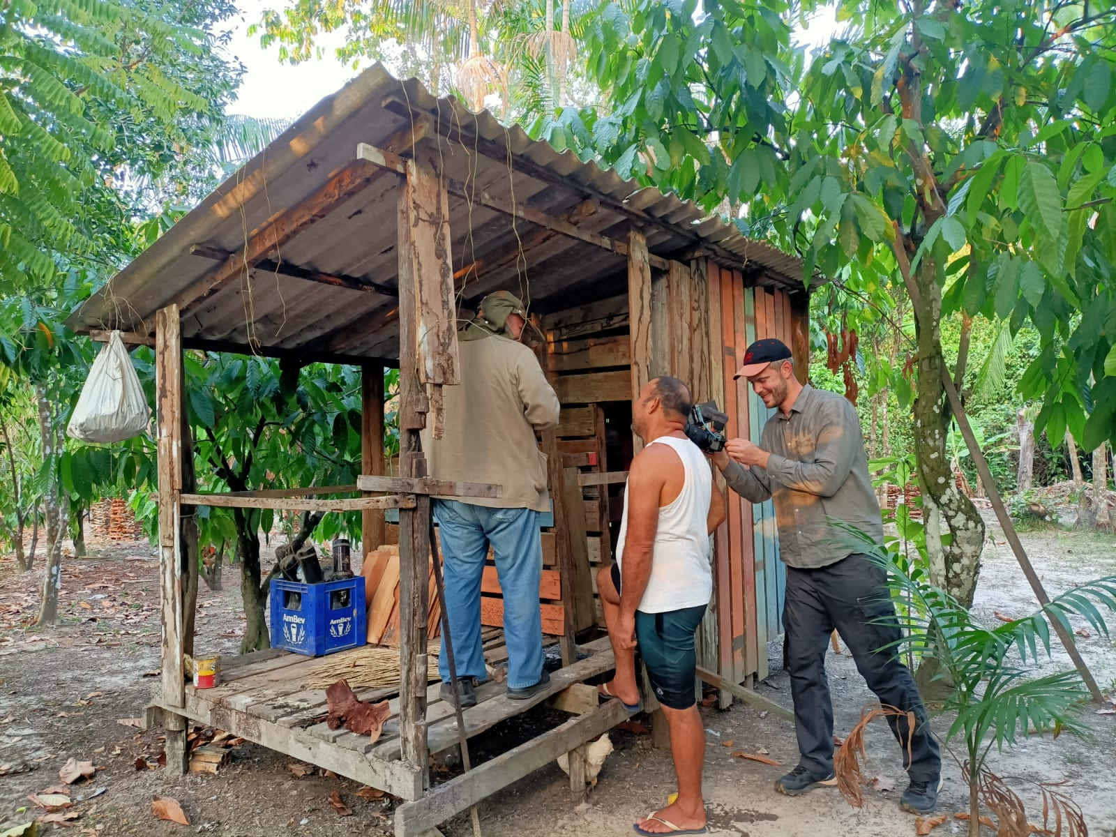 Armadilha para coletar vetores 