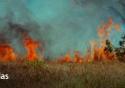 Imagem de queimadas, que ilustram a série especial sobre Clima e Saúde