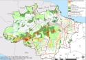 Queimadas na Amazônia e seus impactos na saúde