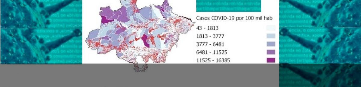 Observatório analisa dados sobre queimadas e alerta sobre a possível interação ente a exposição à fumaça e a Covid-19